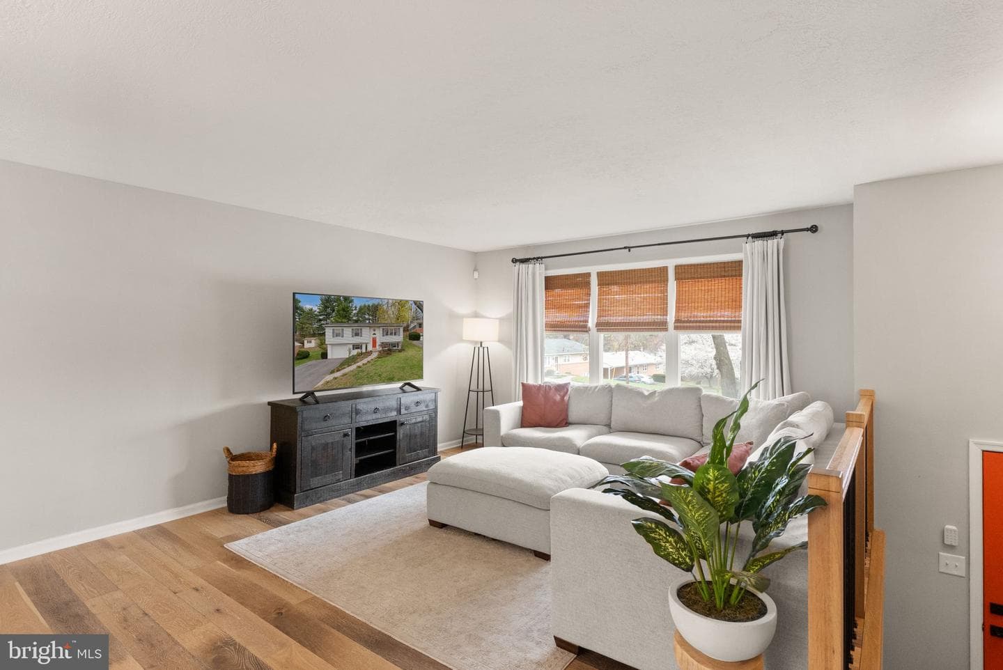 413 George Street photo 9