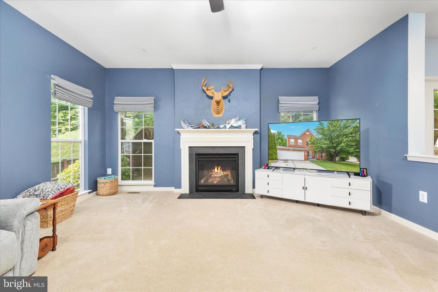 660 Beehive Way photo 4