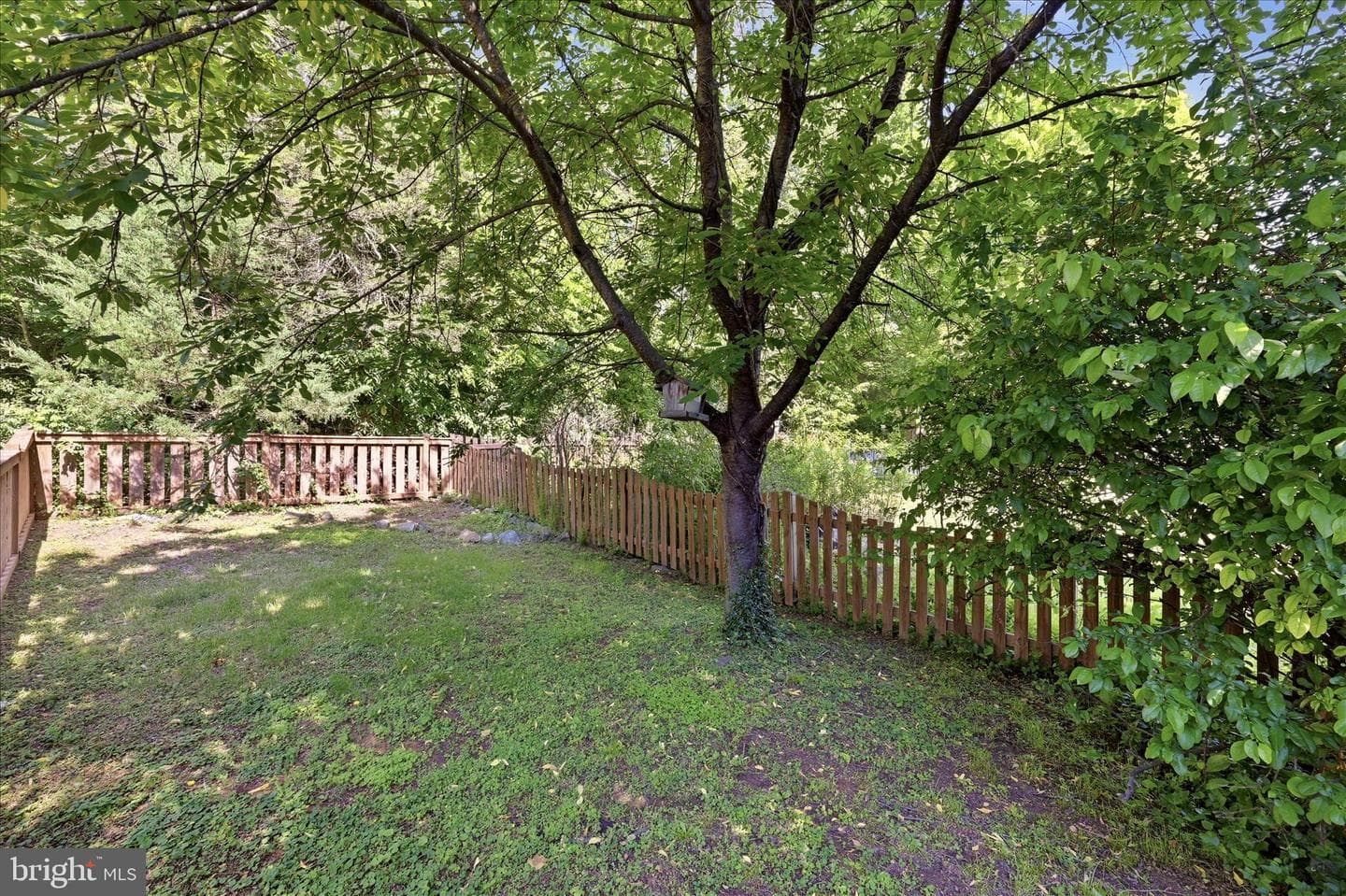 1423 Greystone Terrace photo 36