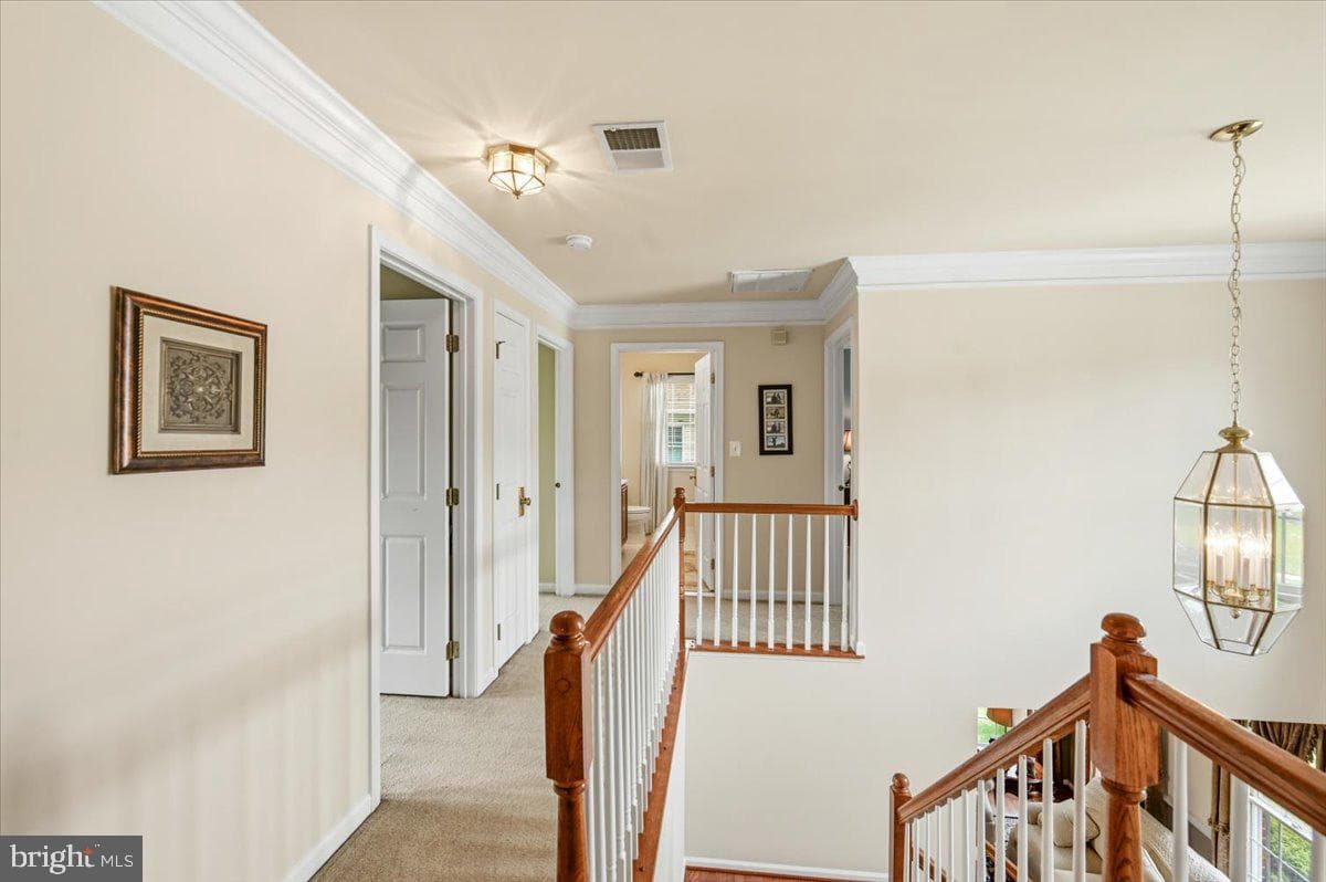 926 Meadow Court photo 26