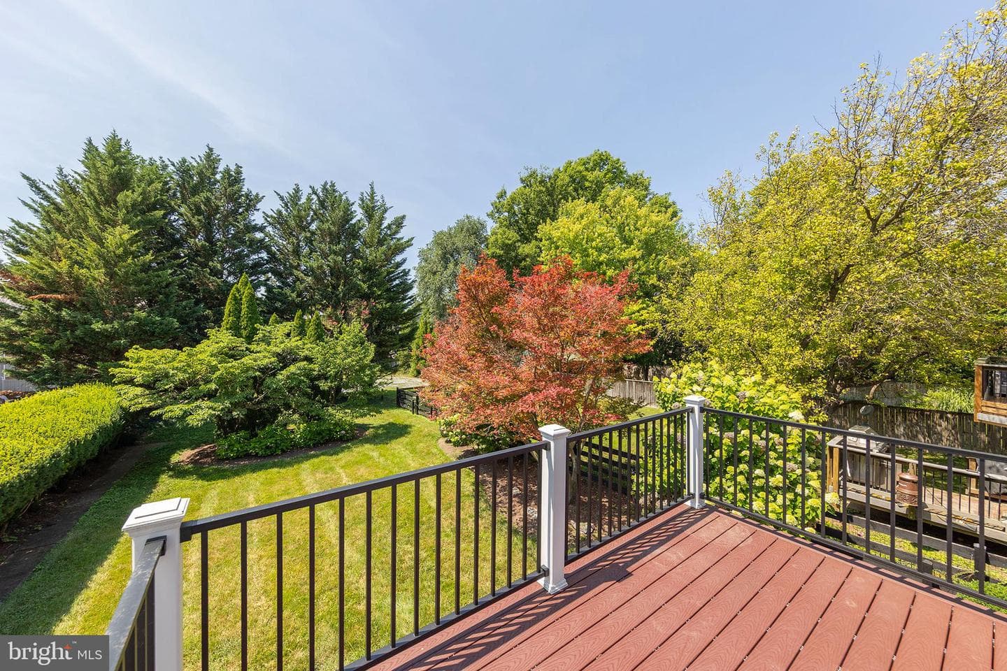 305 Amherst Street photo 10