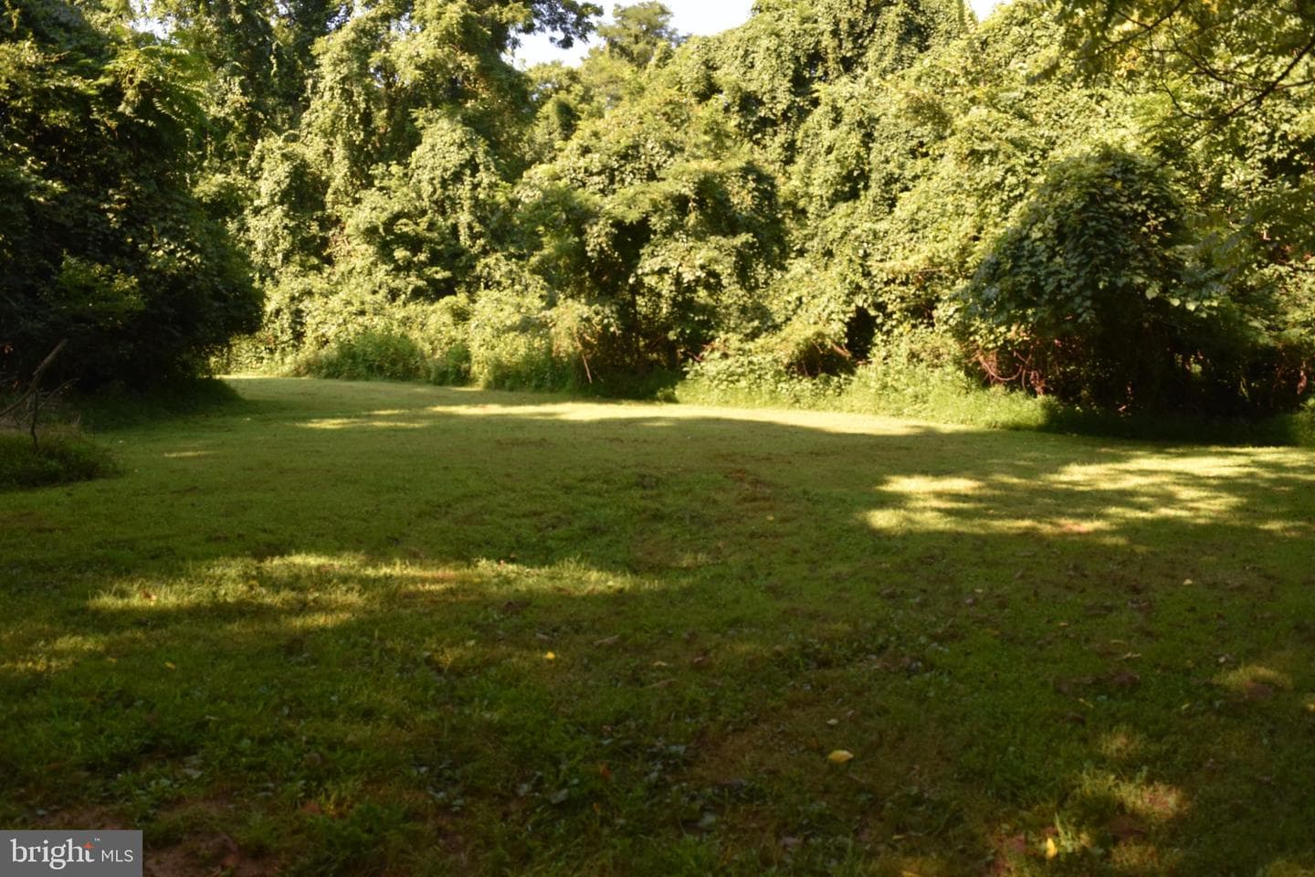 Lot 33 Dogwood Blossom Lane photo 8