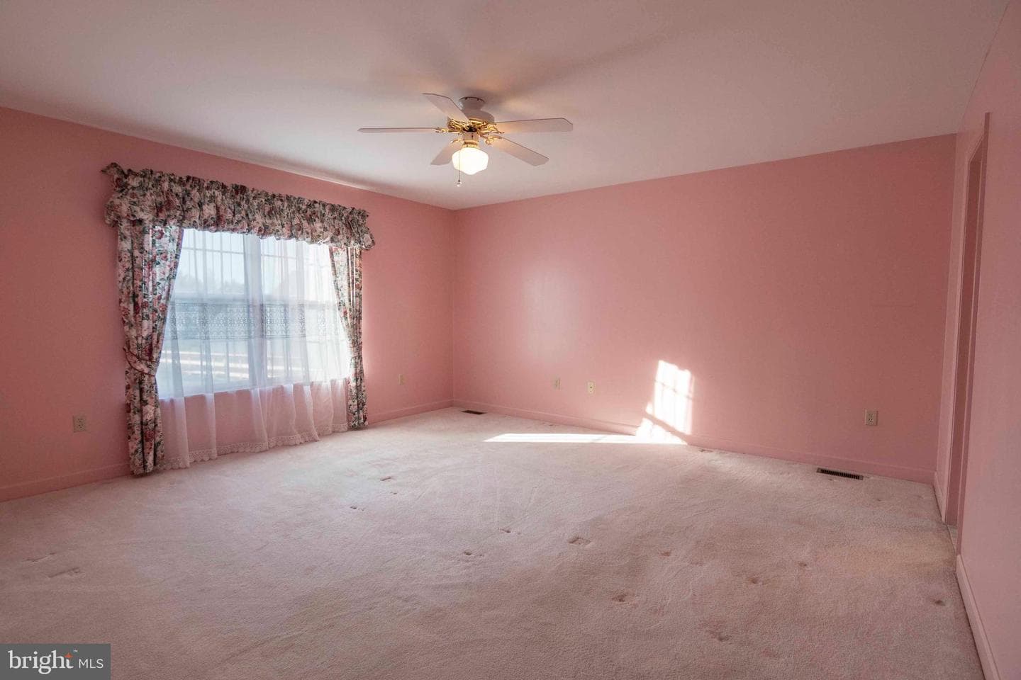 507 Meadow Lane photo 38
