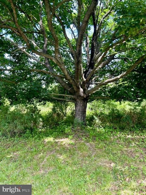 7525 Stonewall Jackson Highway photo 62