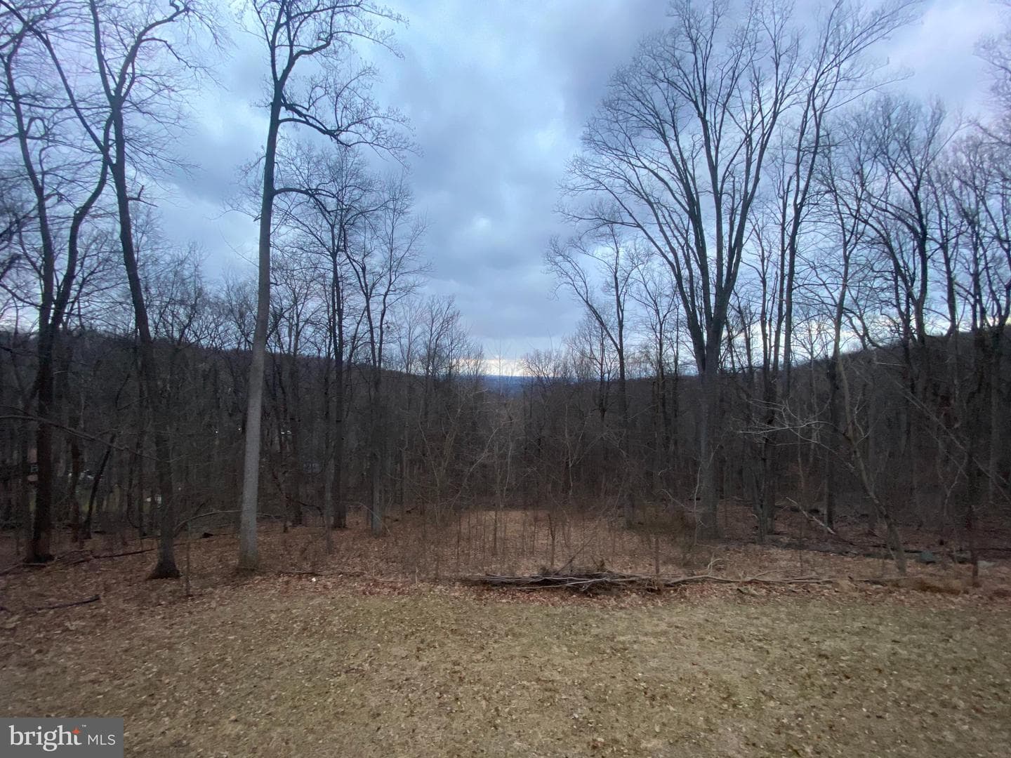 397 Parkside Road photo 29