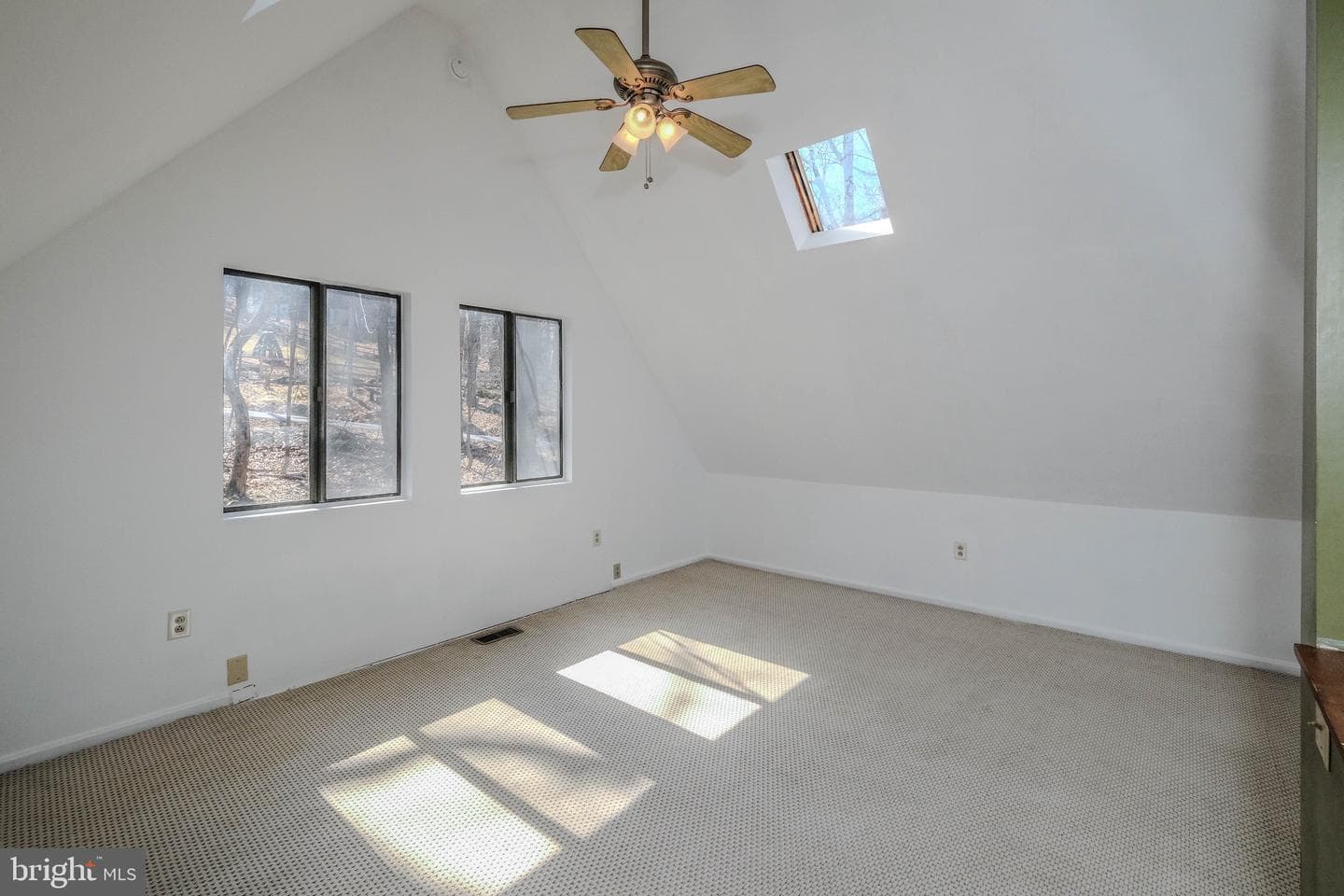 59 Alpine Drive photo 40