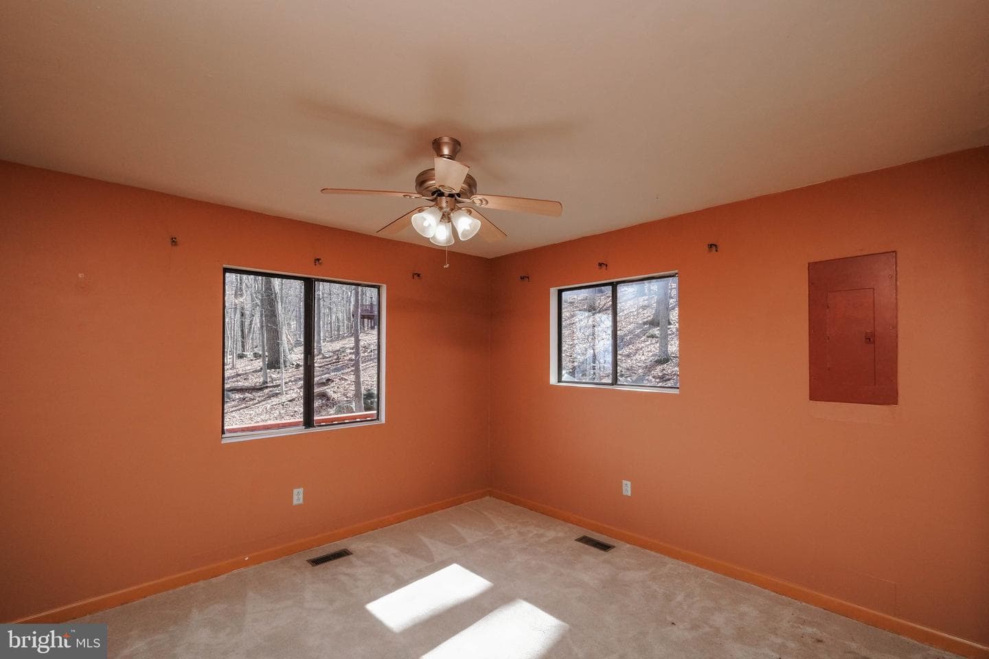59 Alpine Drive photo 44