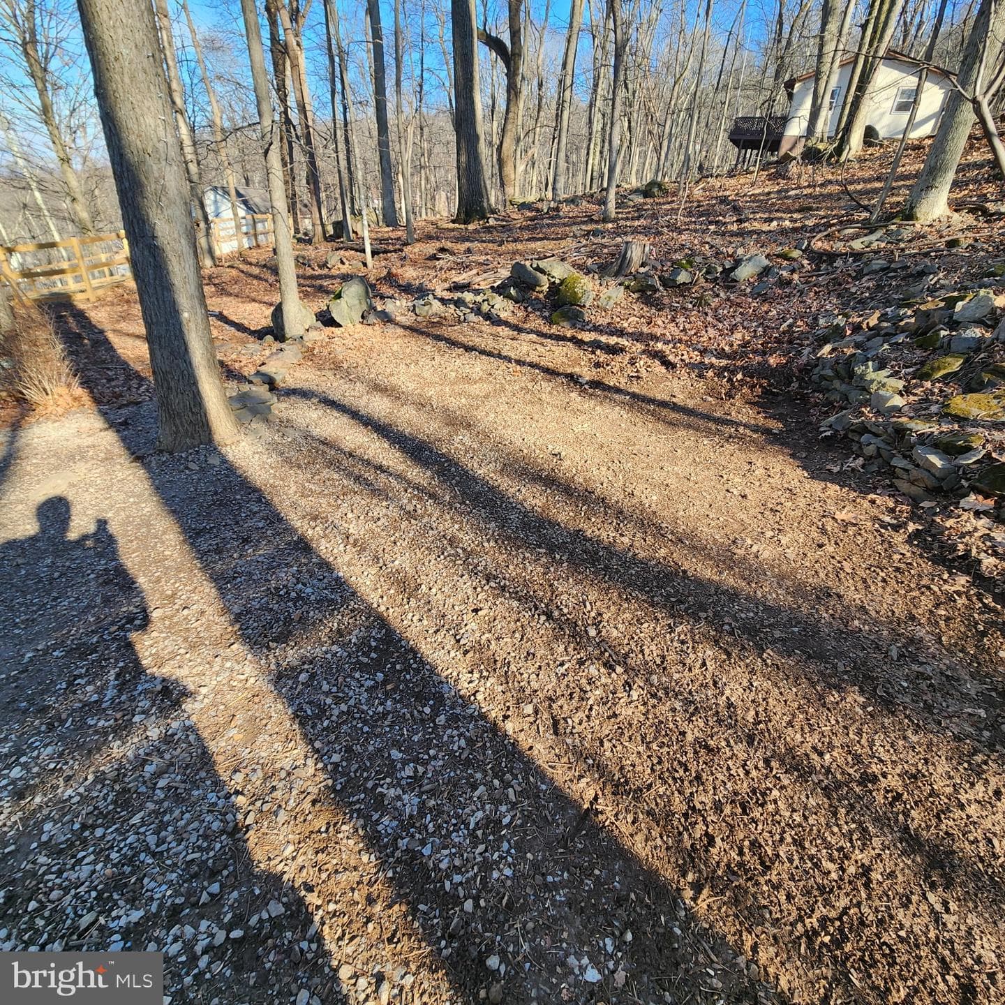 59 Alpine Drive photo 55