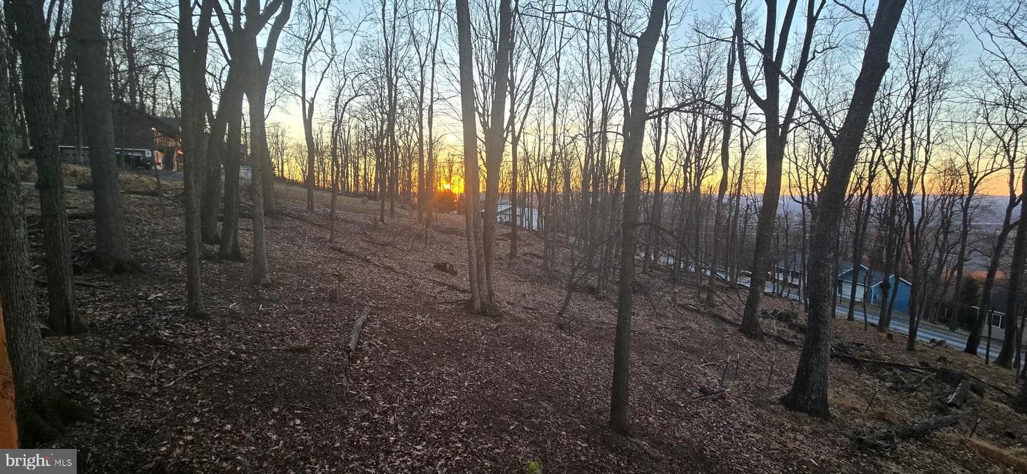 59 Alpine Drive photo 8