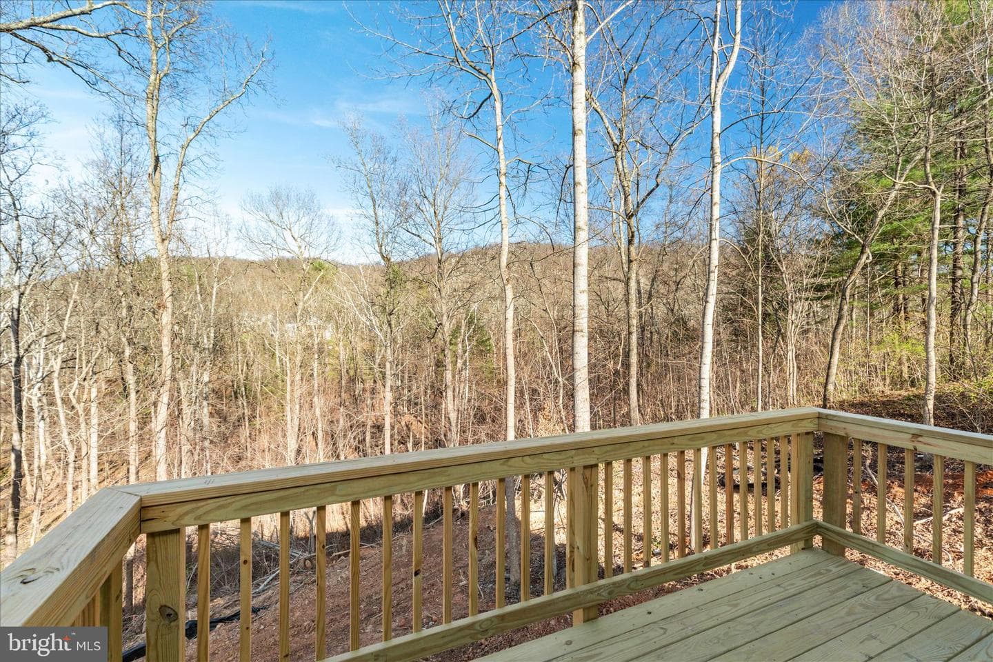 3608 Howellsville Rd Lot 236 photo 32