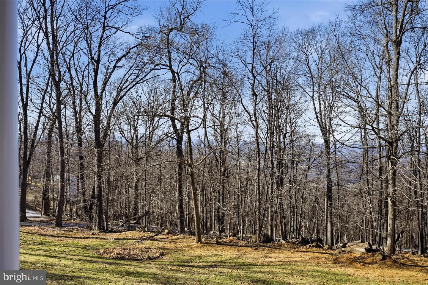 168 Deer Trail Road photo 40