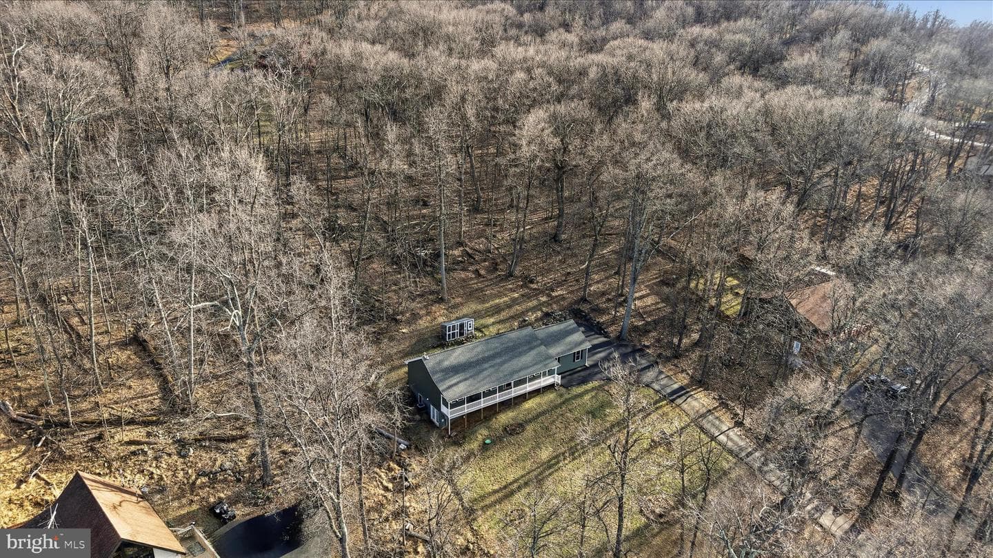168 Deer Trail Road photo 51