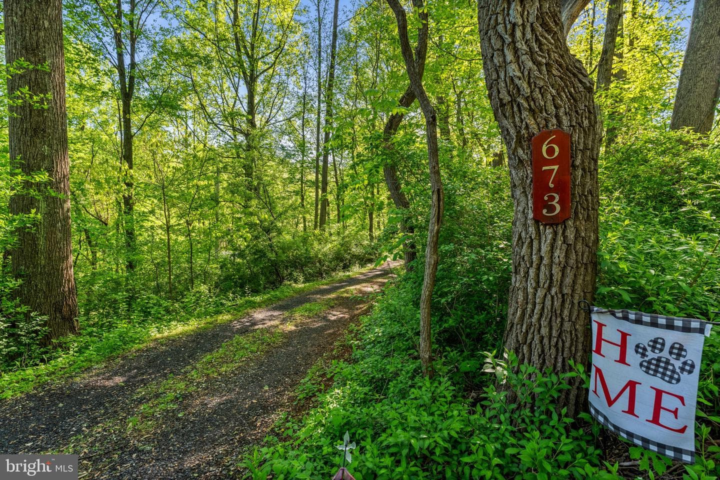 673 Creek Road photo 10
