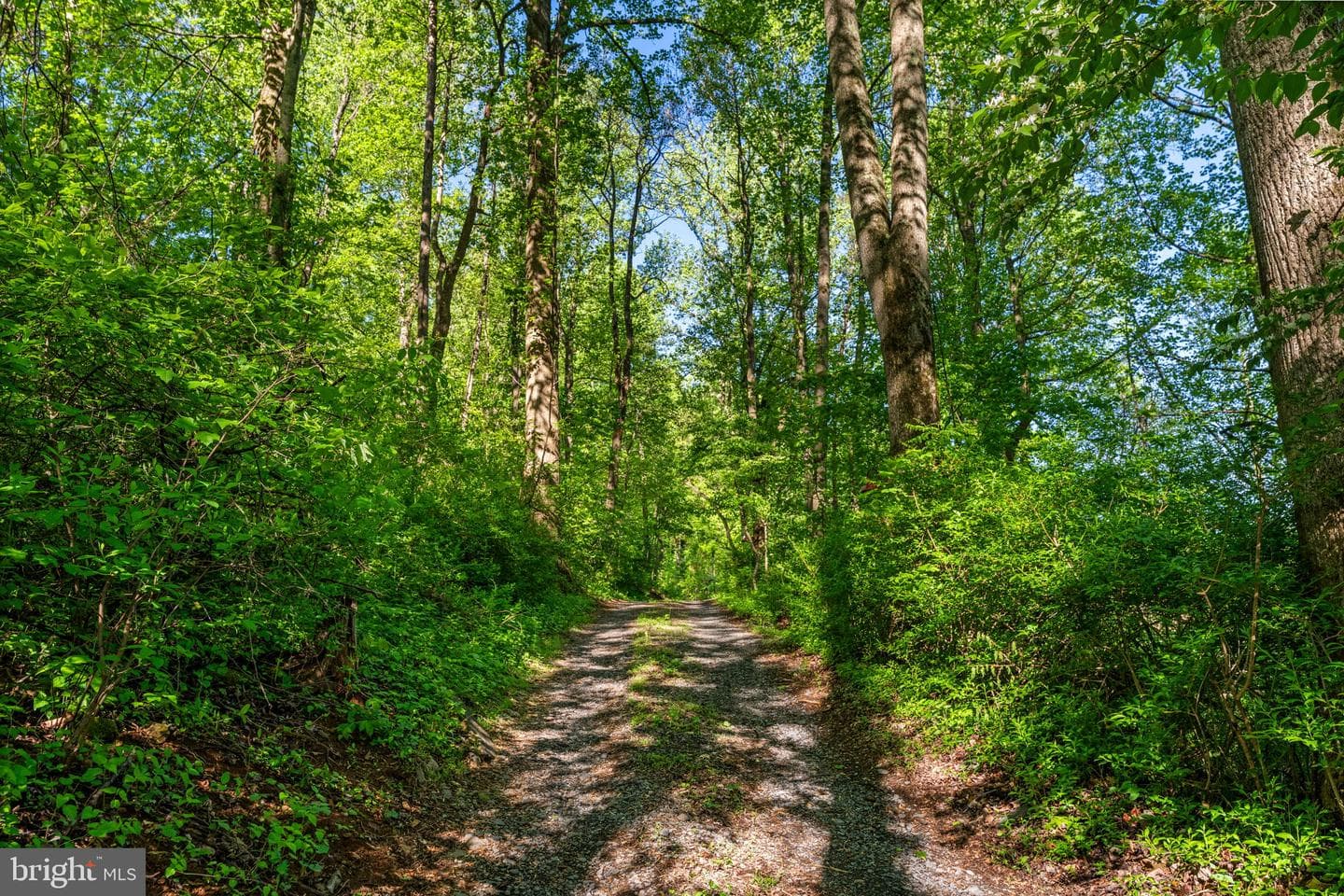 673 Creek Road photo 8