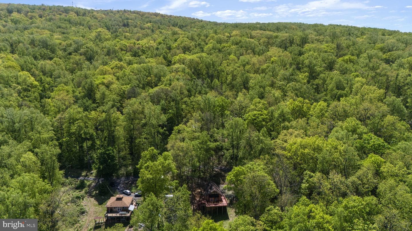 293 Old Sawmill Road photo 10