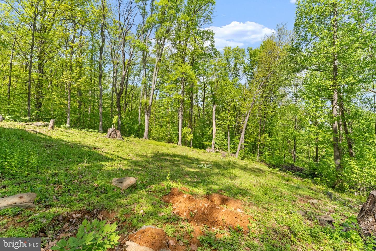 293 Old Sawmill Road photo 48