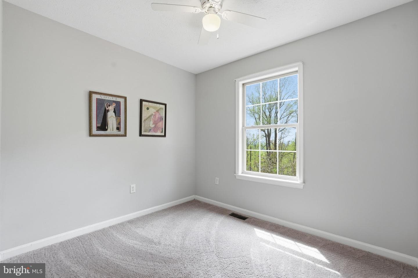 195 Gayles Lane photo 17
