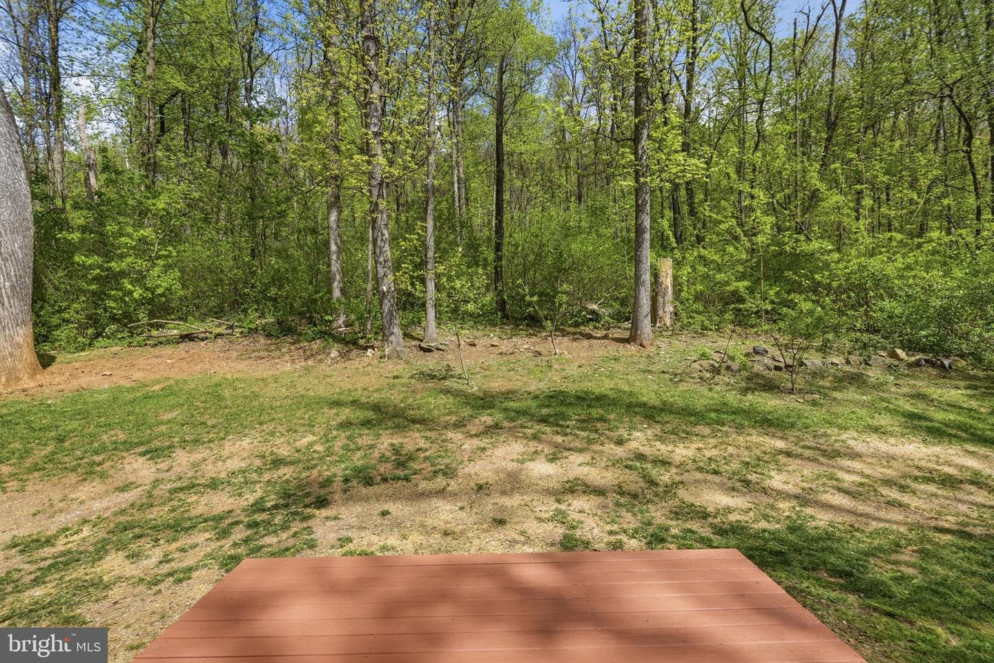 195 Gayles Lane photo 26