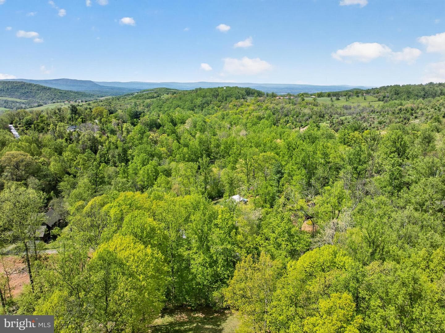 417 Bluebird Way photo 59