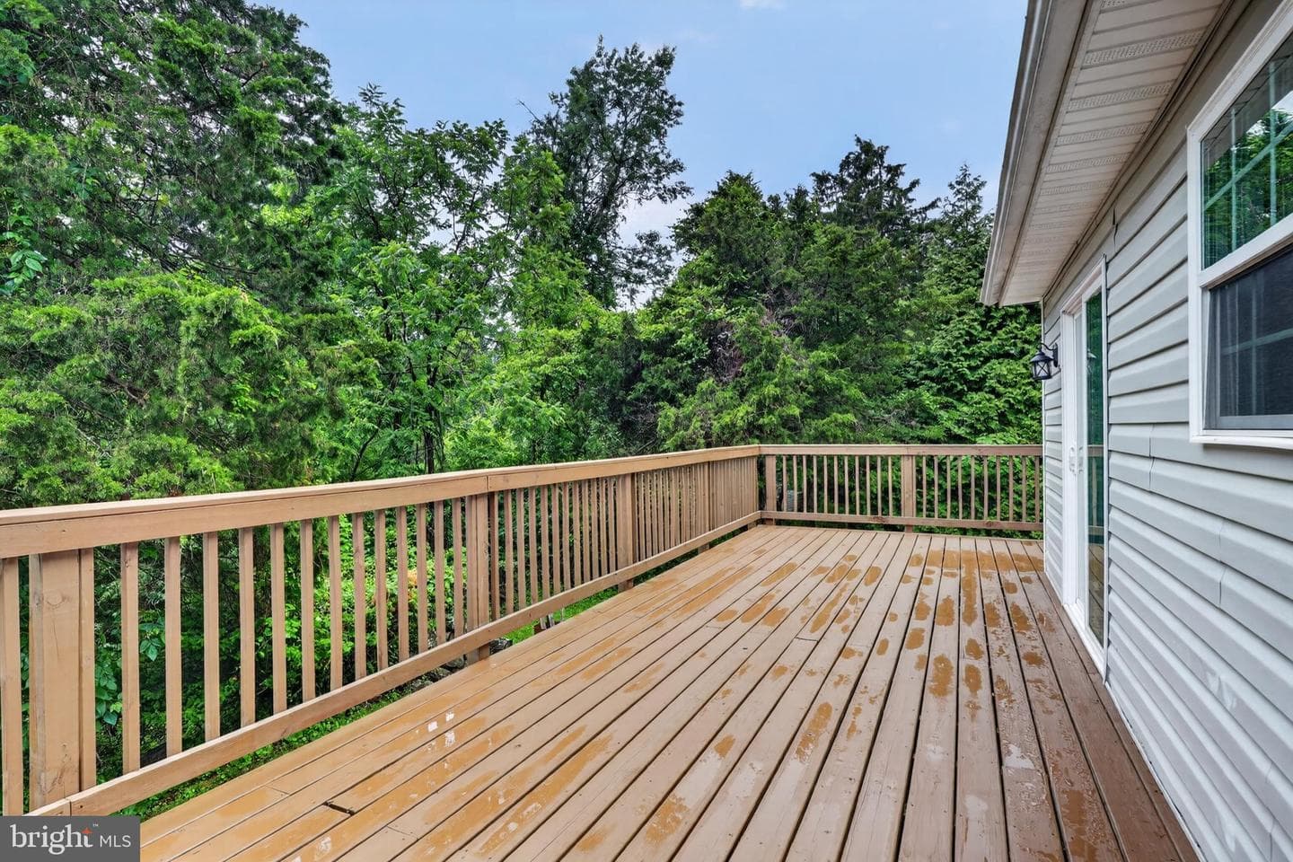 638 Apple Orchard Drive photo 11