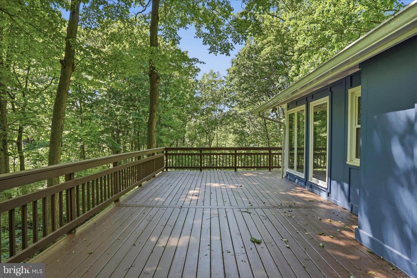49 Wild Cherry Way photo 52