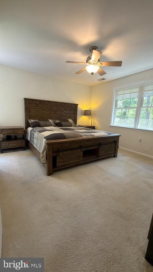 68 View Drive photo 20