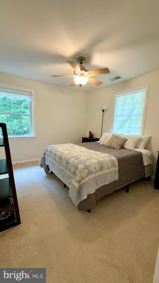 68 View Drive photo 24