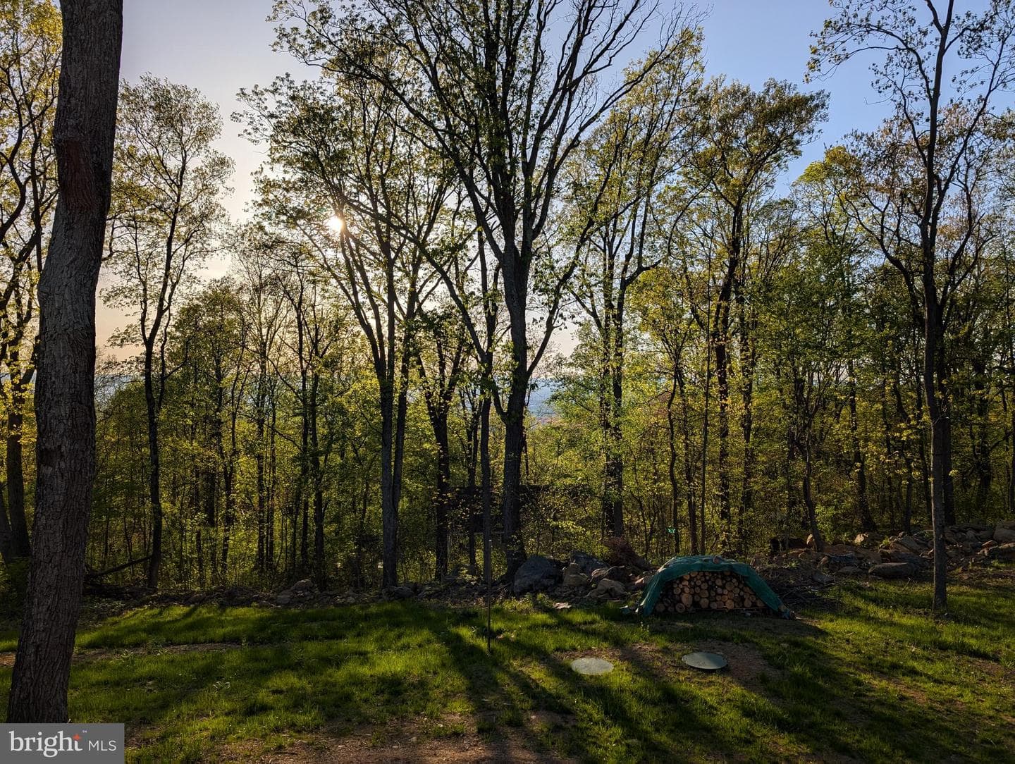 1099 High Top Road photo 47