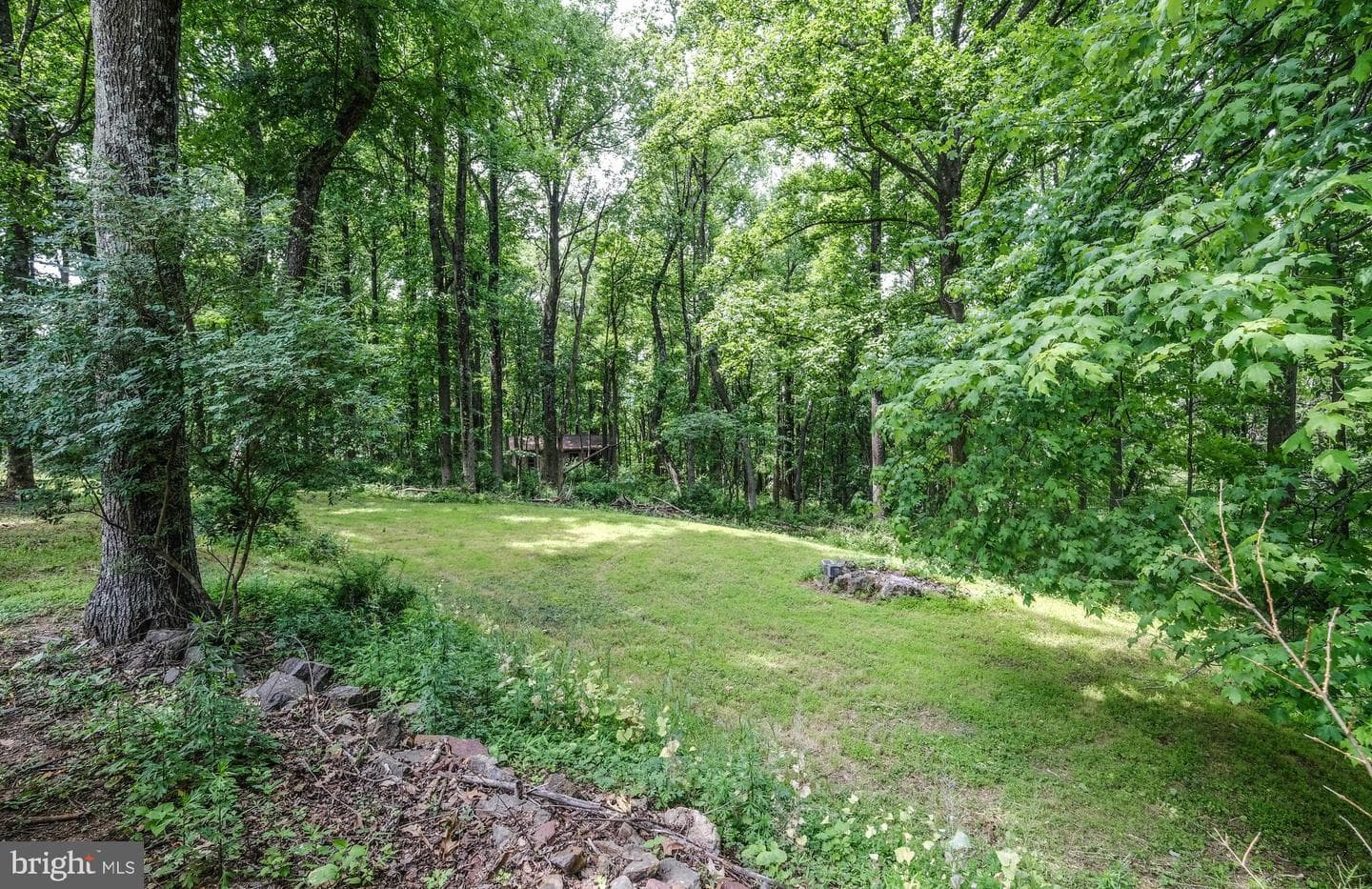 318 Ulysses Way photo 6