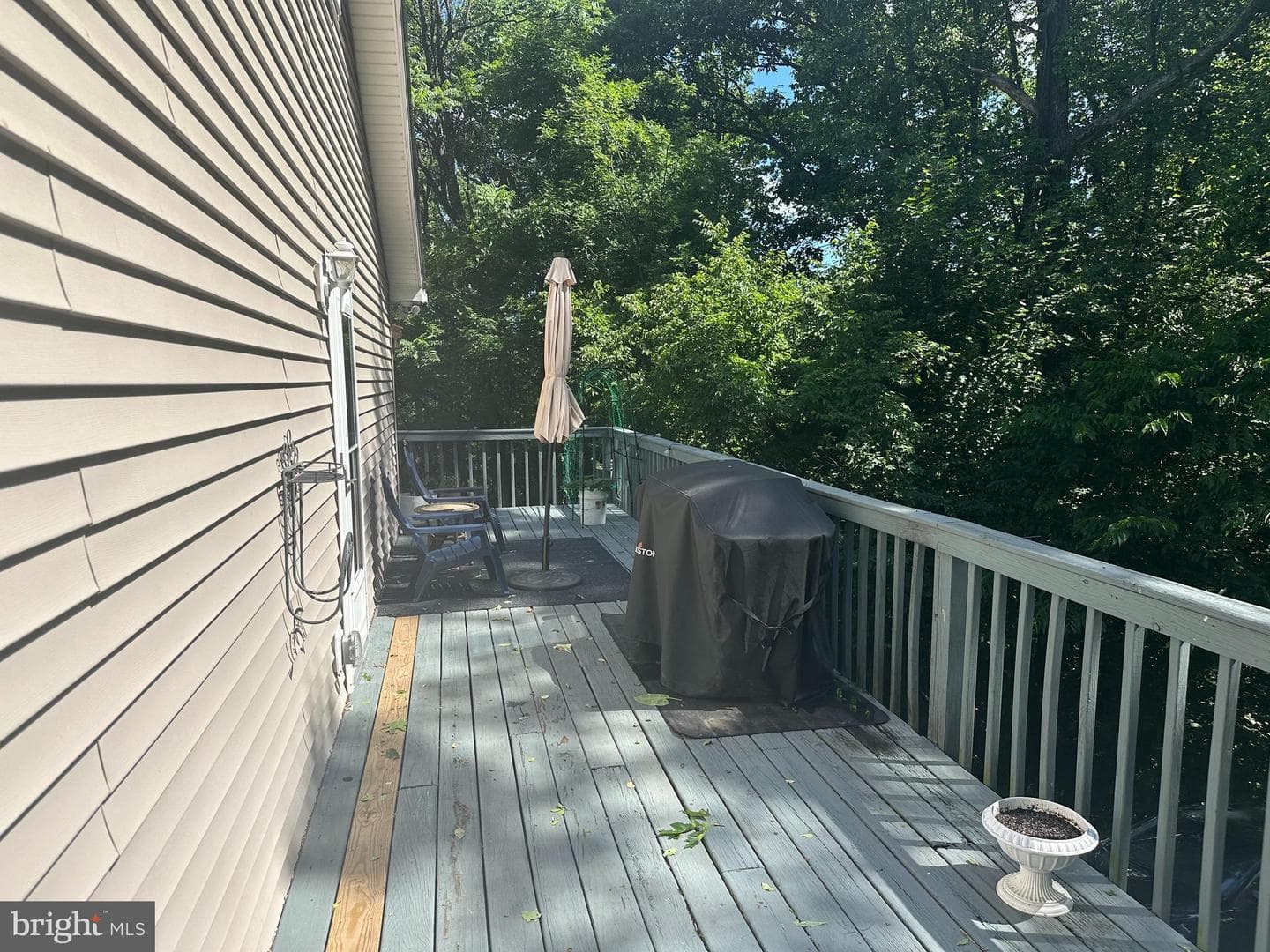 440 Bluebird Way photo 20
