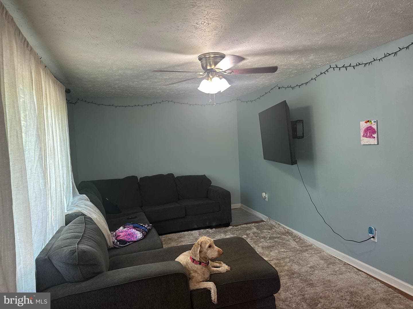 440 Bluebird Way photo 6