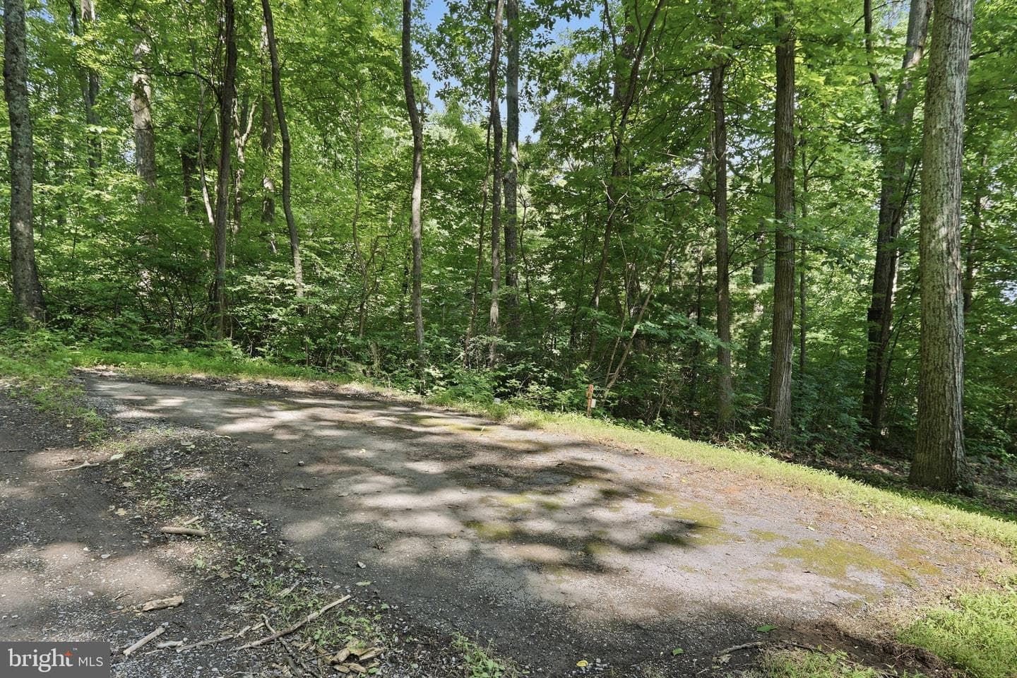 72 Long View Road photo 36