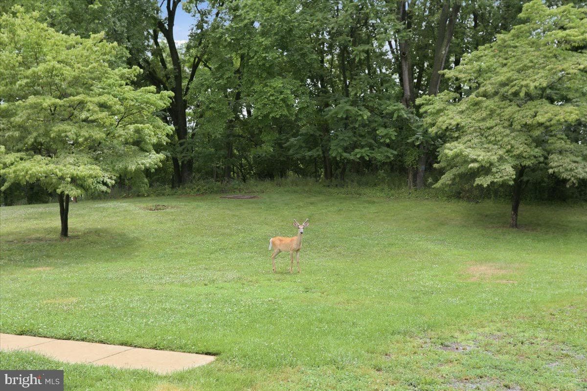 494 Hamilton Circle photo 35