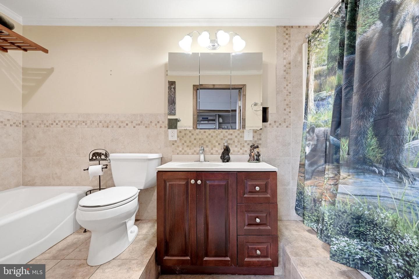 11 Ashlawn Court photo 41