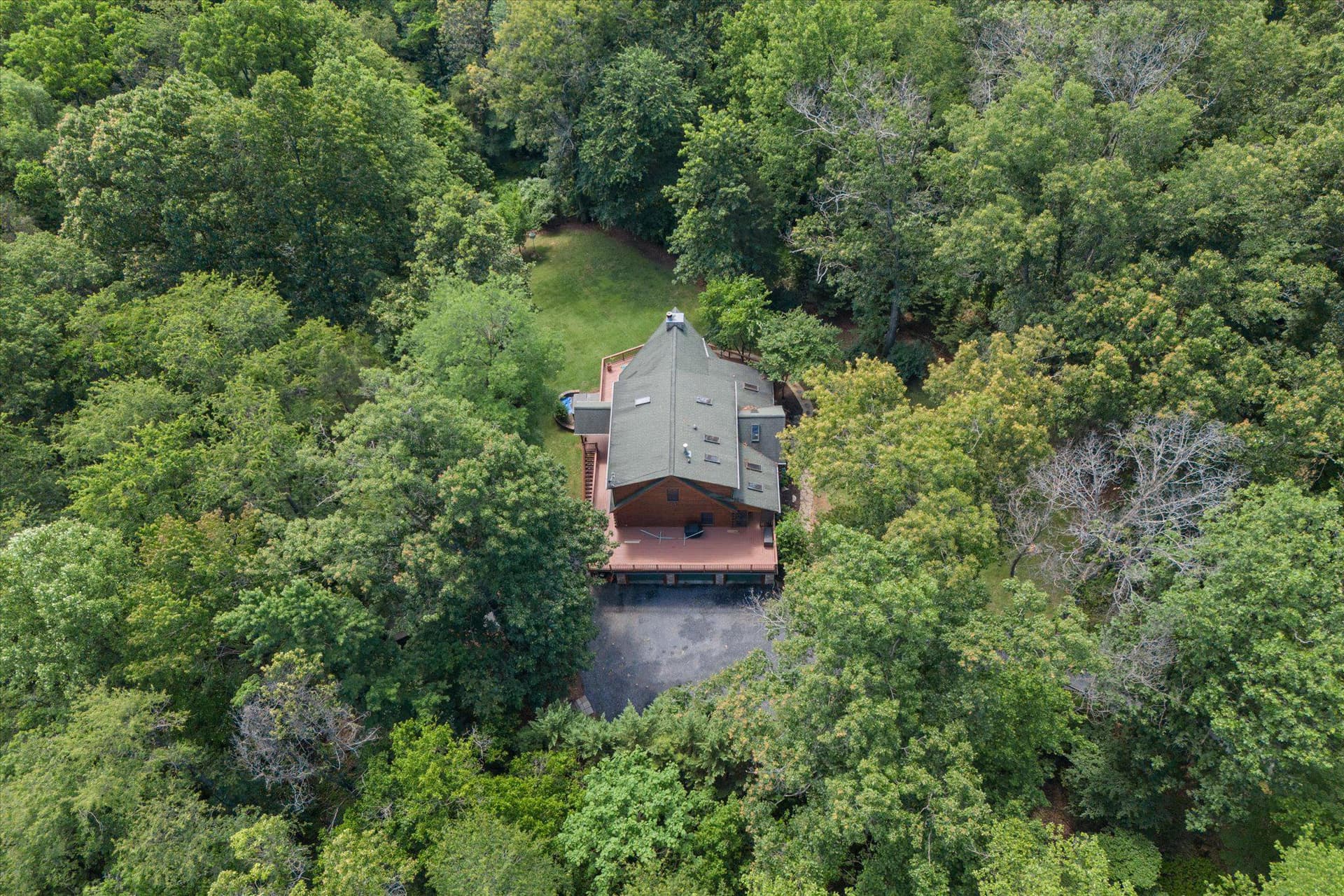 459 Windy Pines Road photo 5
