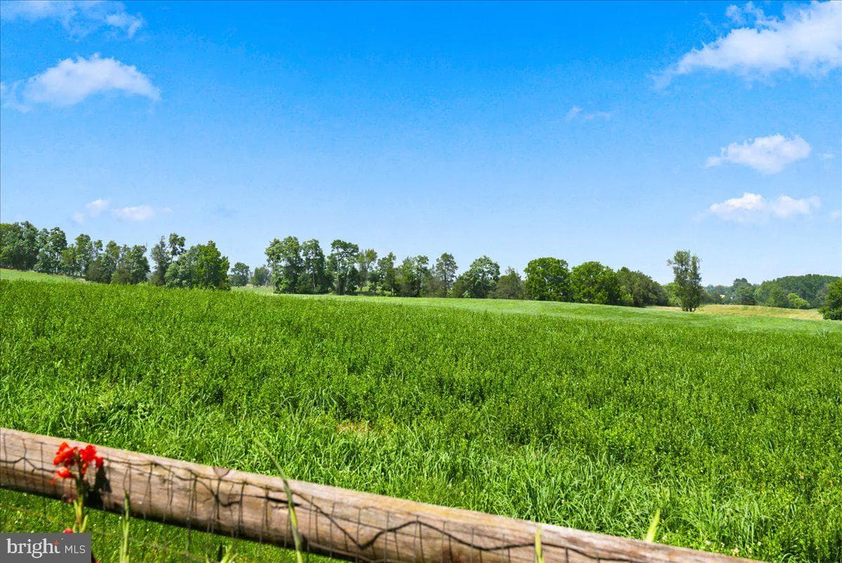 22 Clear Back Road photo 100
