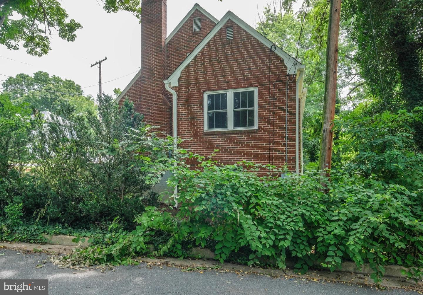 208 Salem Avenue photo 52