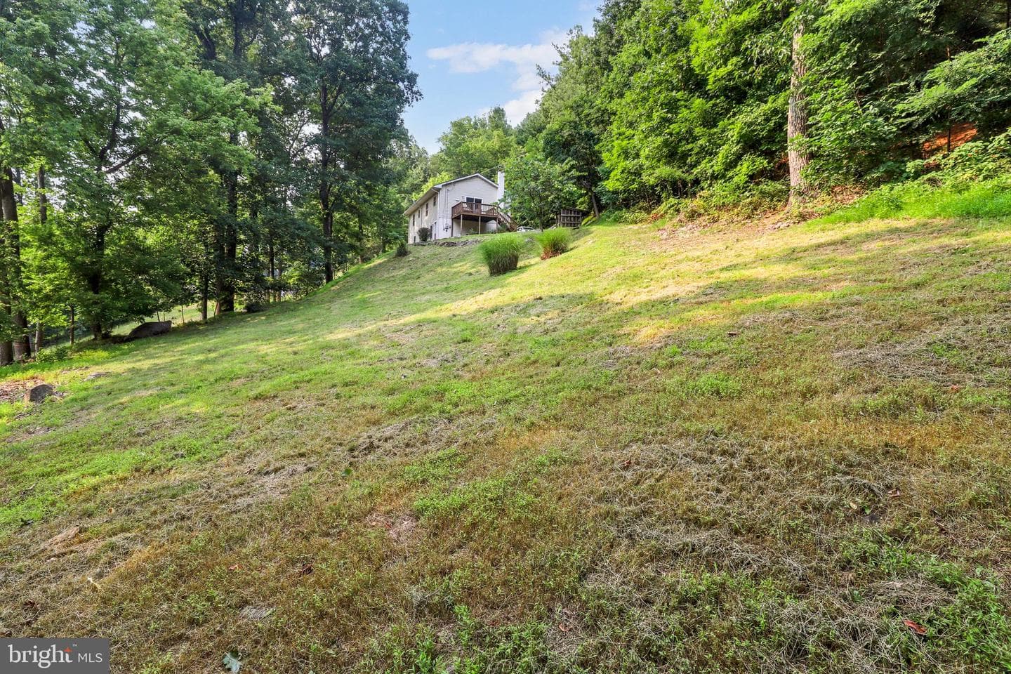 1336 Granny Smith Road photo 41