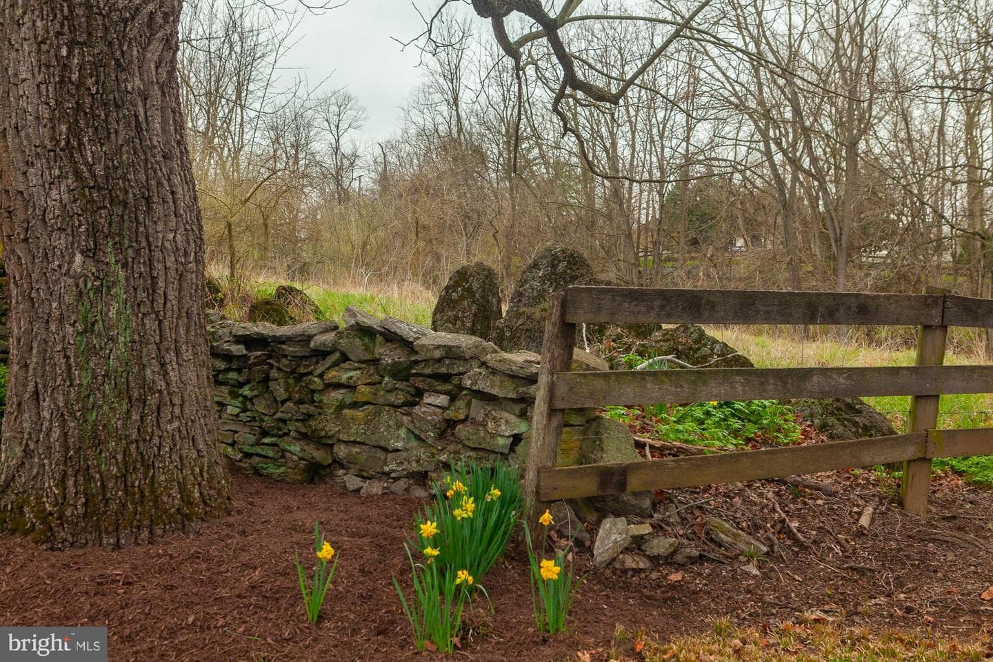 123 Old Mill Road photo 74