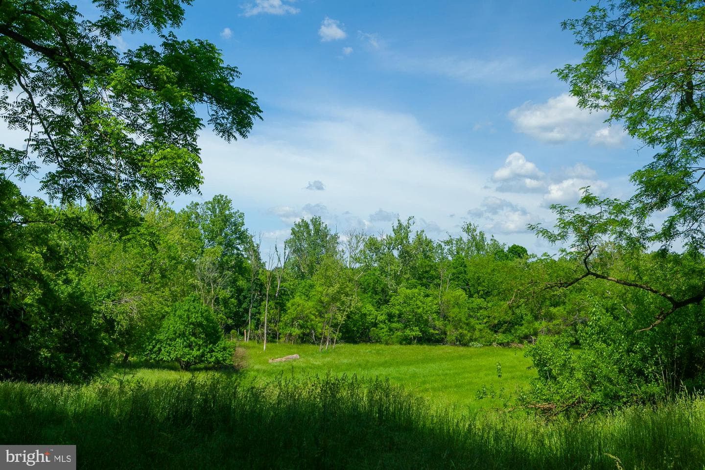 123 Old Mill Road photo 86
