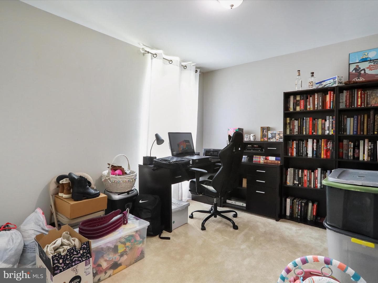 64 Eurasian Drive photo 20