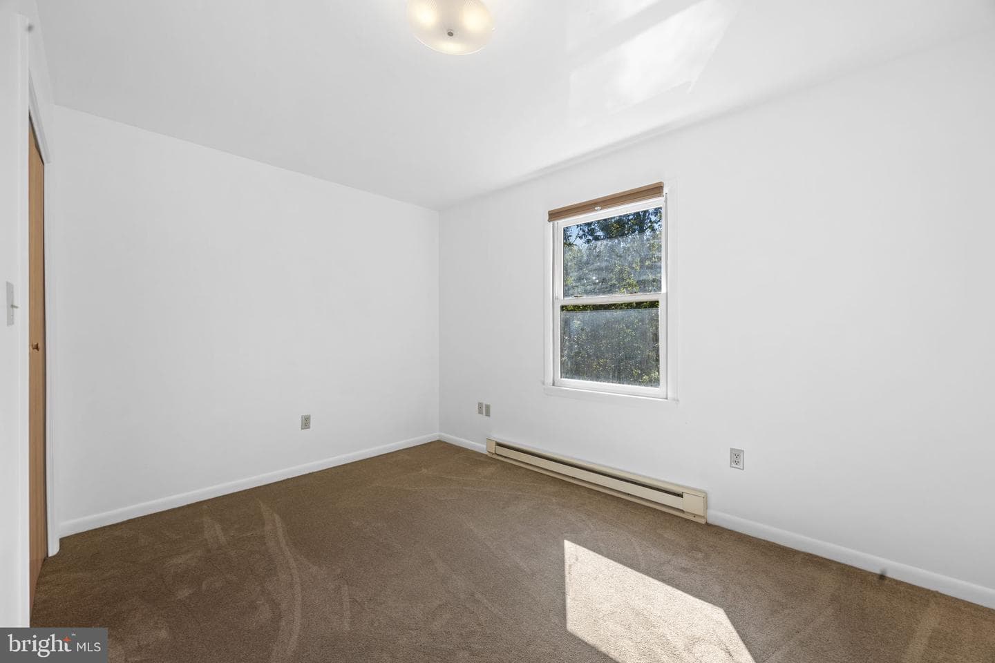 145 Basswood Drive photo 21