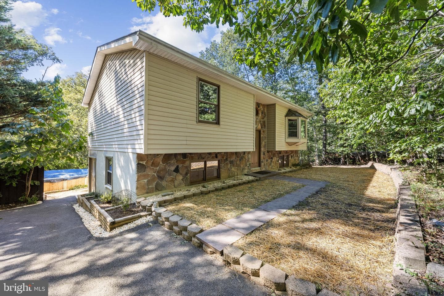 145 Basswood Drive photo 3