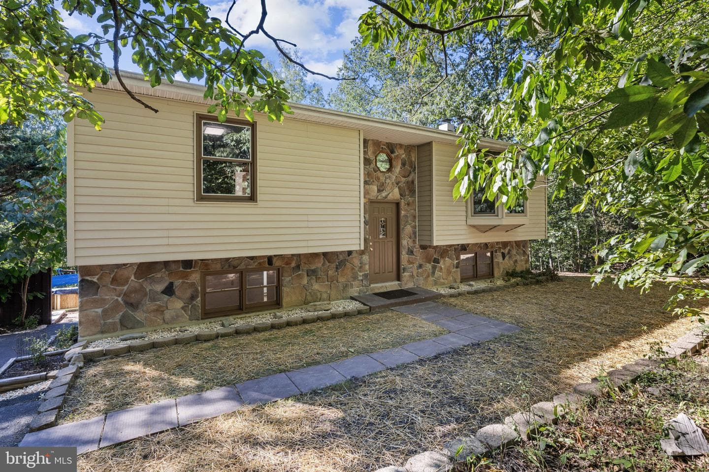 145 Basswood Drive photo 4