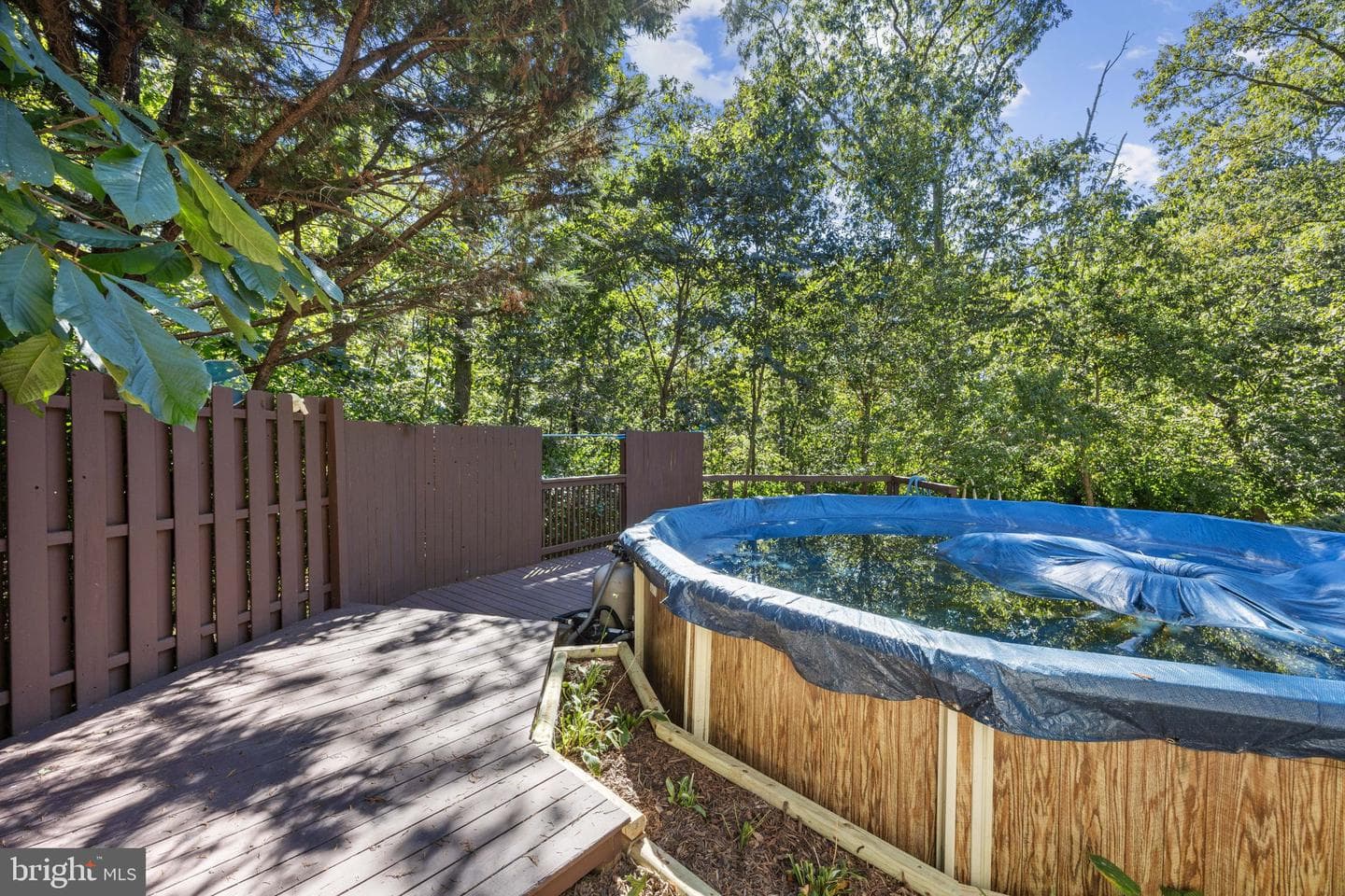 145 Basswood Drive photo 49