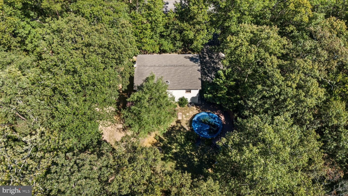 145 Basswood Drive photo 52