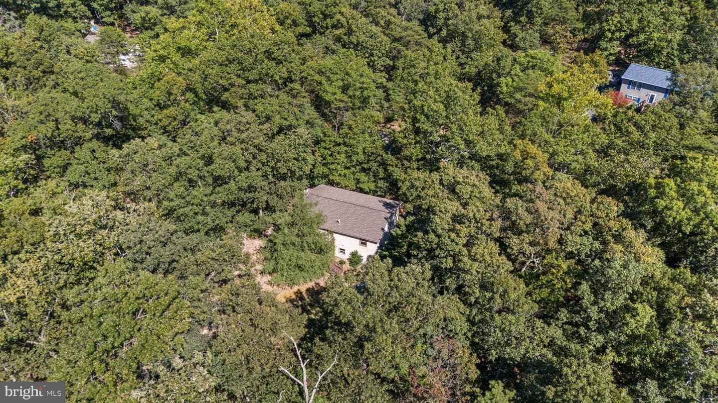 145 Basswood Drive photo 53