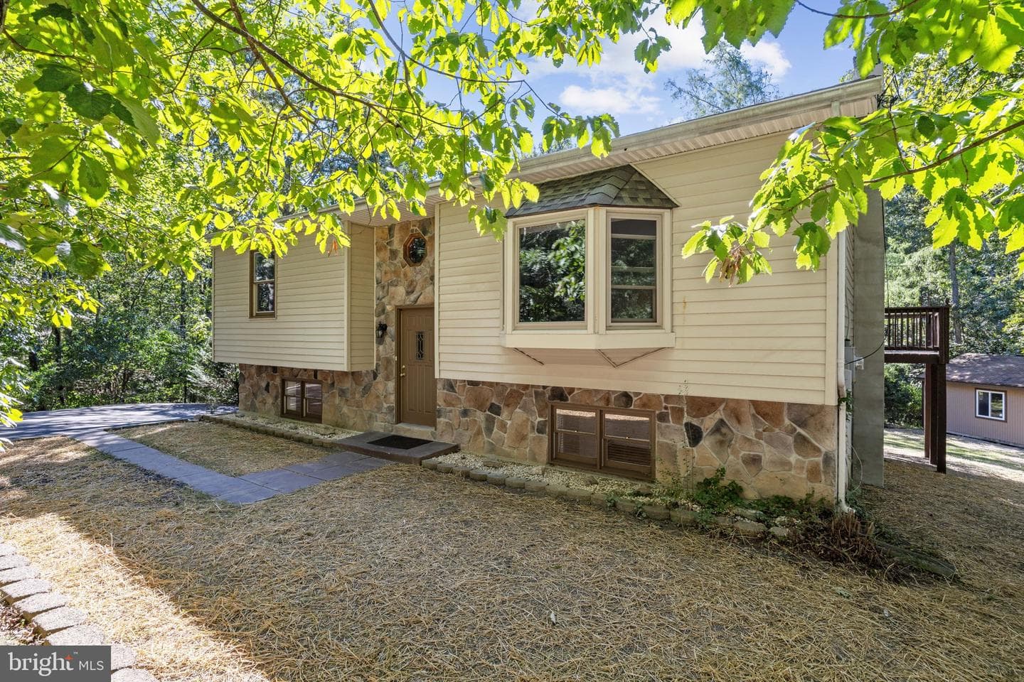 145 Basswood Drive photo 6