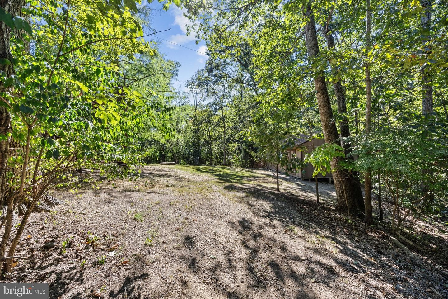 145 Basswood Drive photo 66