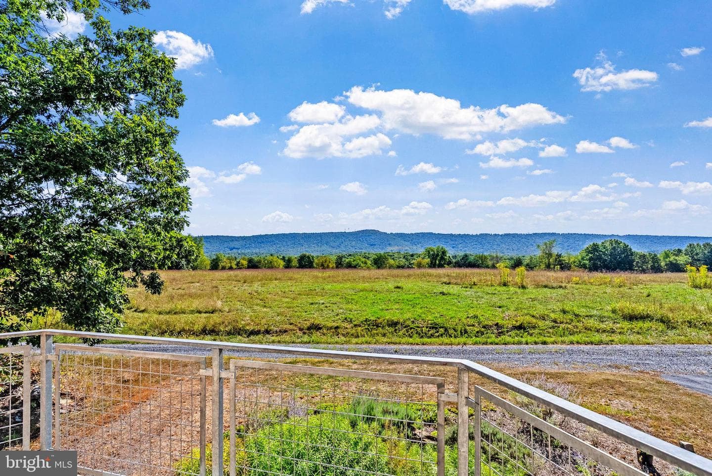 79 Marigold Way photo 4